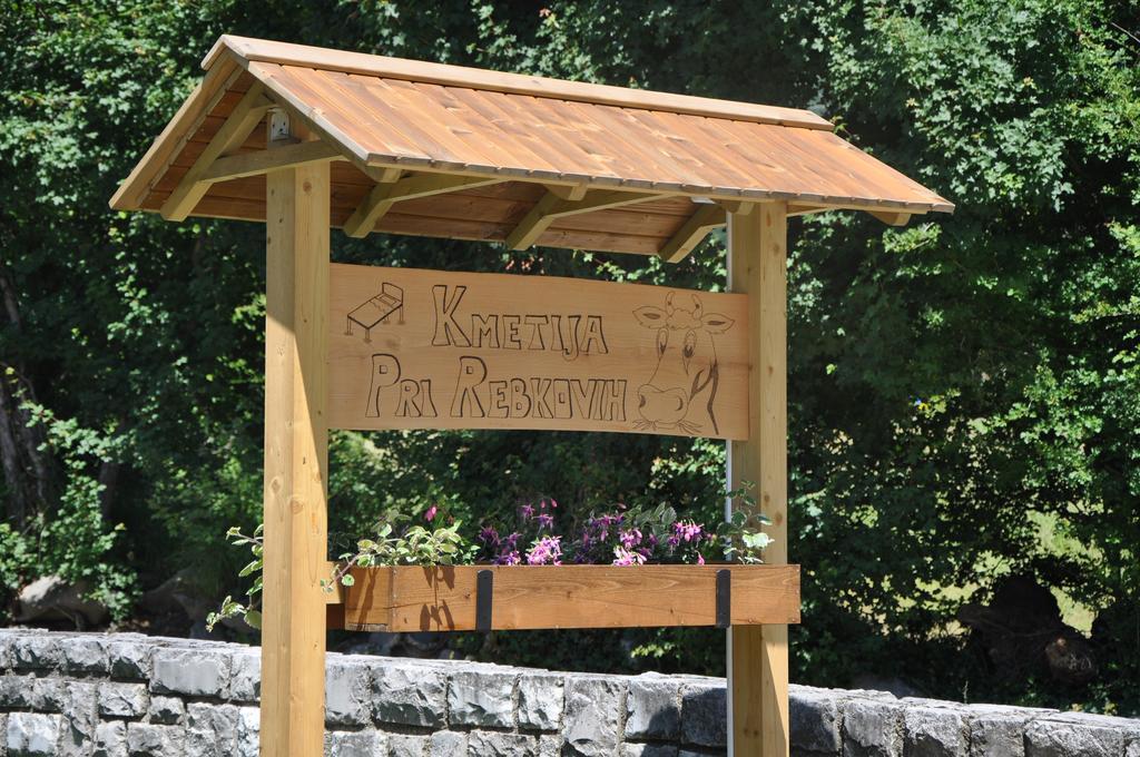 Апартаменти Turisticna Kmetija Pri Rebkovih Айдовшчіна Екстер'єр фото